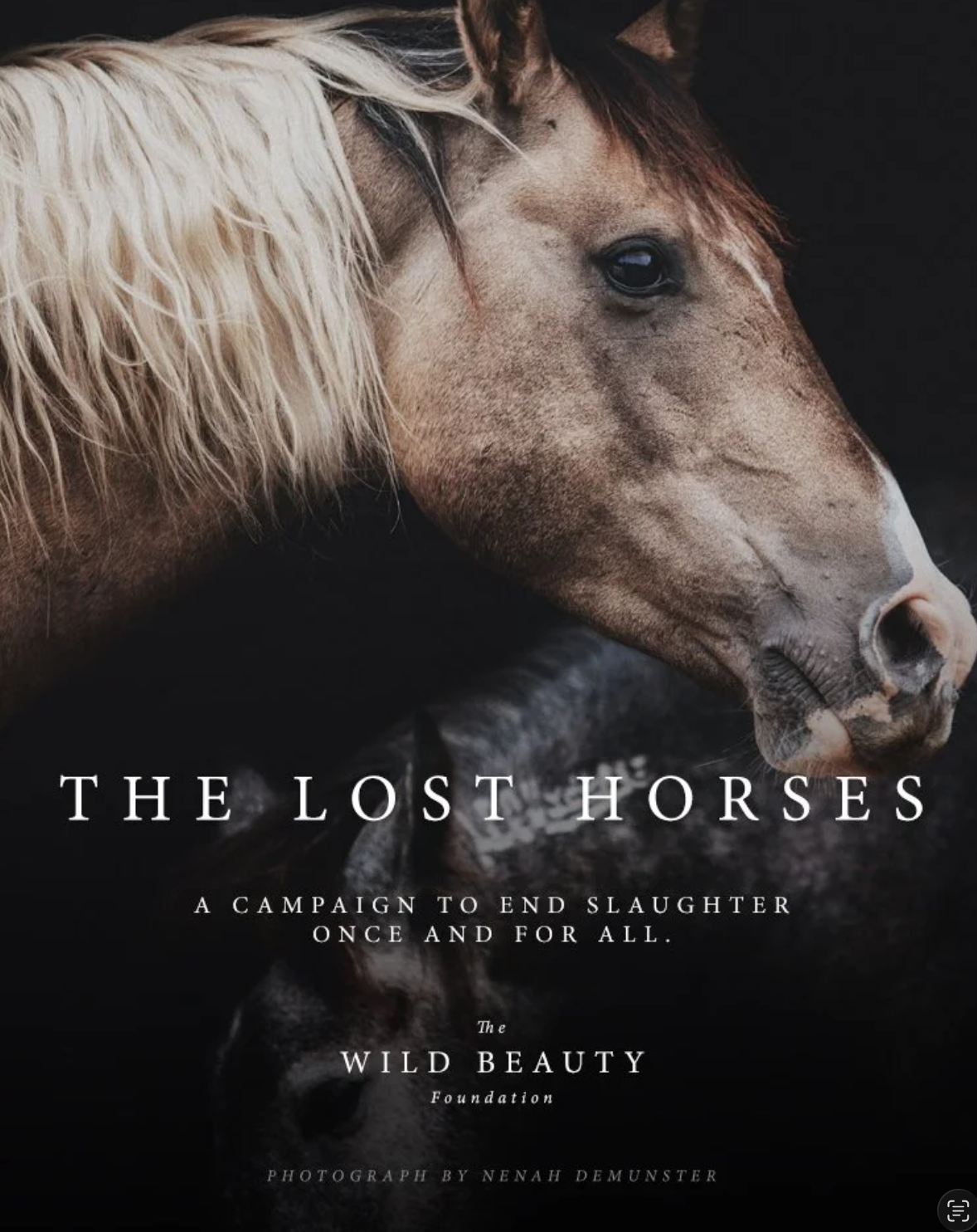 The Lost Horses campaign